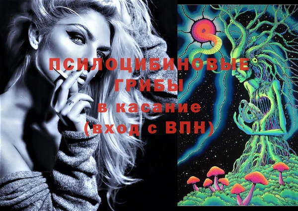 прущая мука Арсеньев