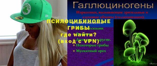 прущая мука Арсеньев